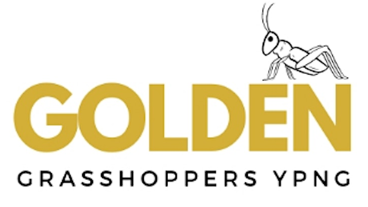 Young Professionals Golden Grasshoppers Networking Group - Bloomington, MN